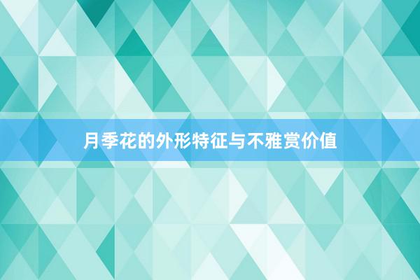 月季花的外形特征与不雅赏价值