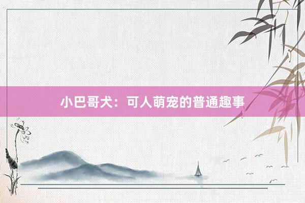 小巴哥犬：可人萌宠的普通趣事